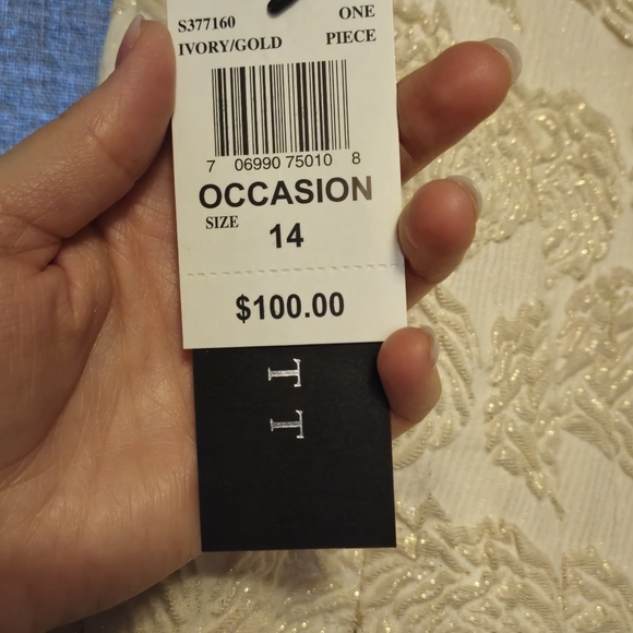 NWT Scarlett Ivory Sparkling Gold Floral Sleeveless Knee Length Dress Size 14 - Picture 6 of 6